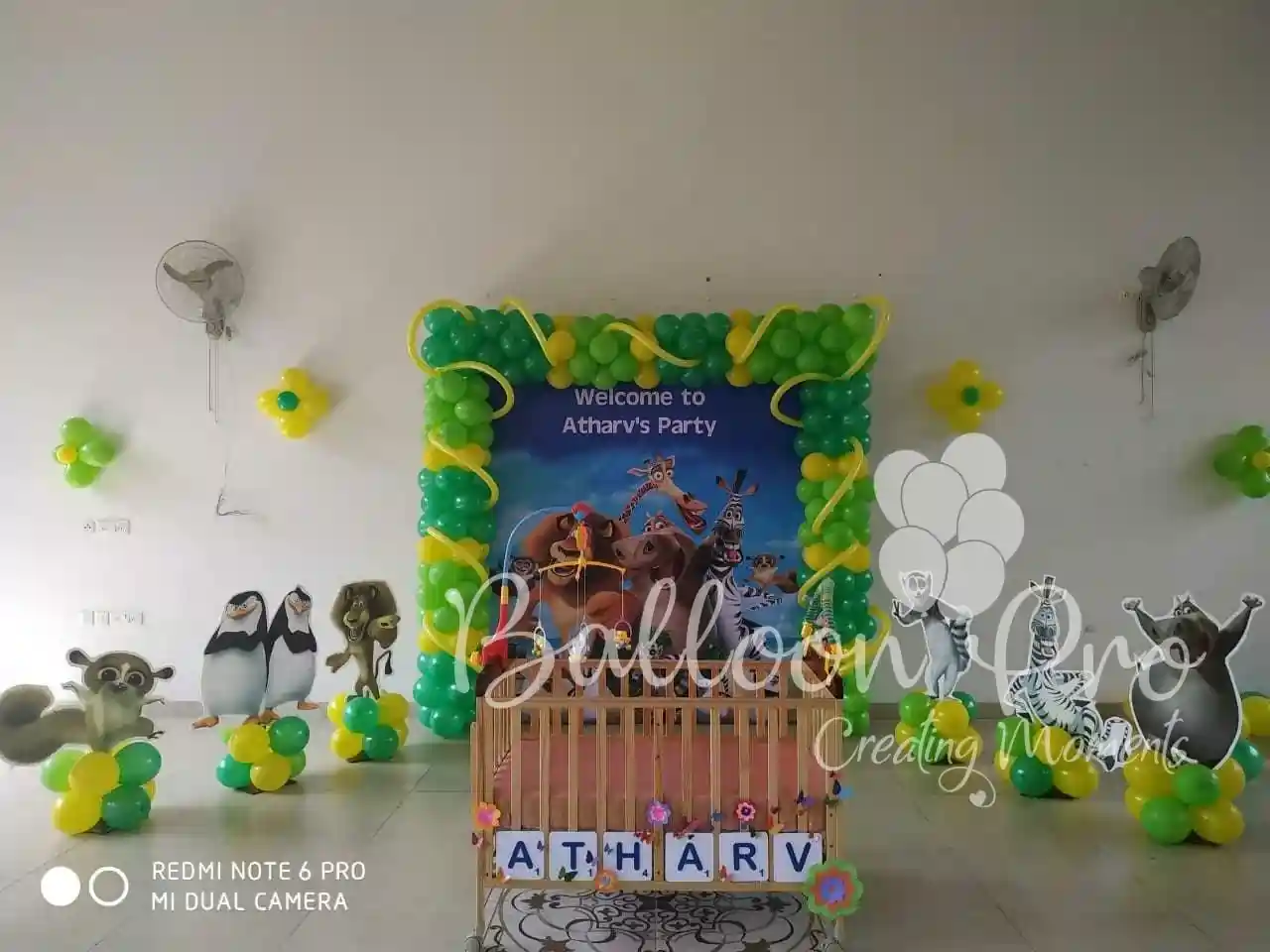 Fantastic Madagascar Theme in Bangalore Fantastic Madagascar Theme