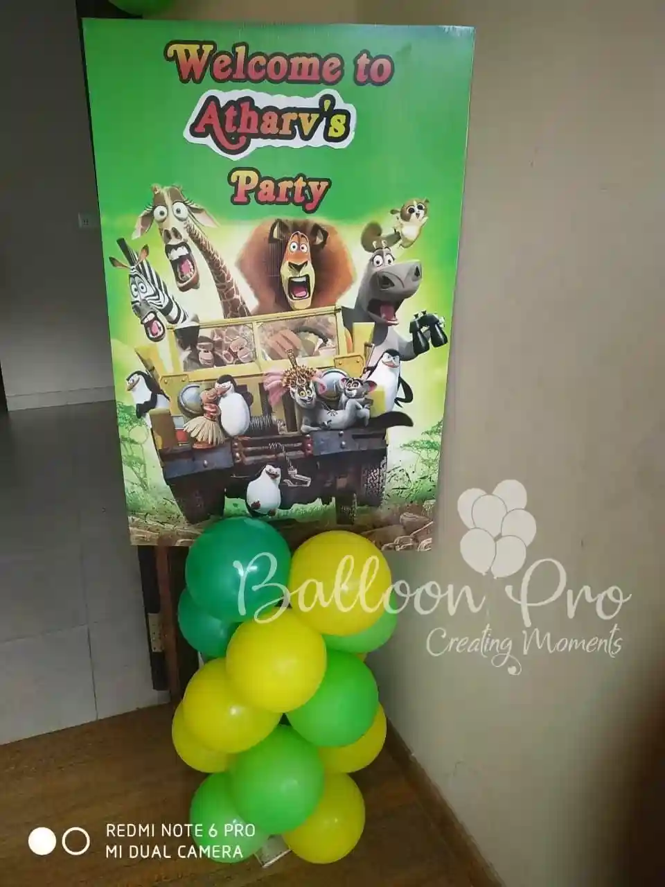 Fantastic Madagascar Theme in Bangalore Fantastic Madagascar Theme
