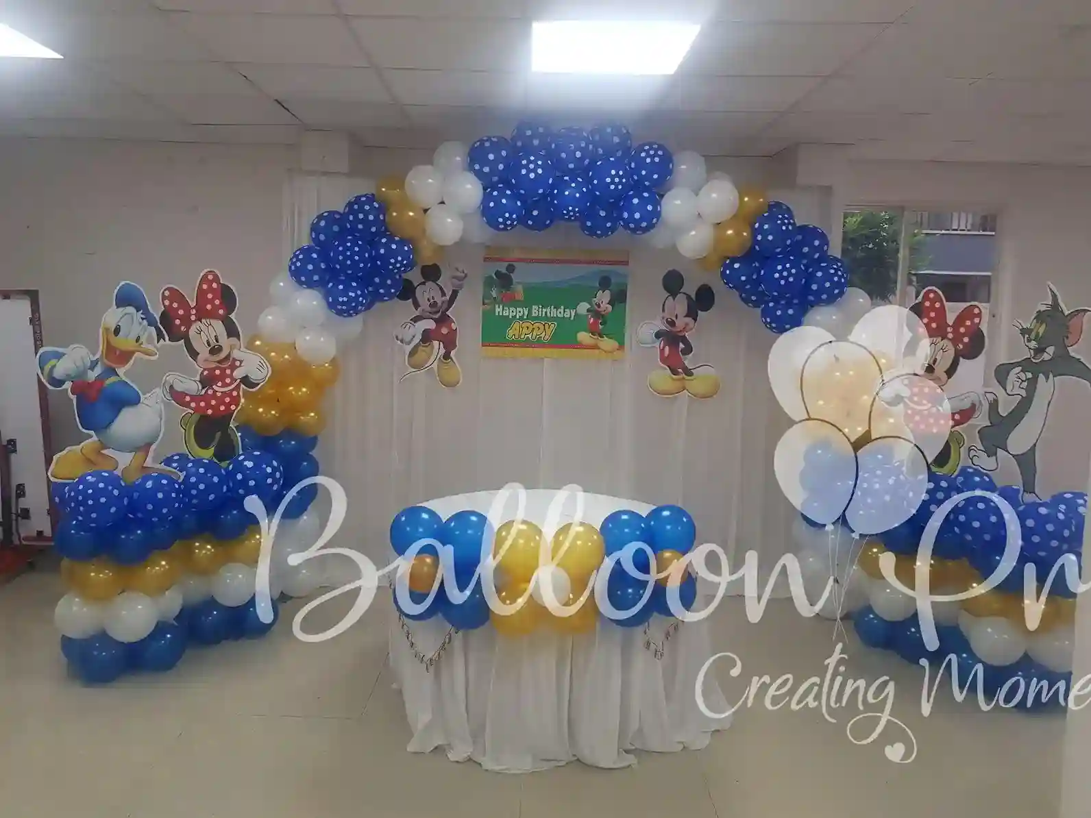 Best Budget Cartoons Decor in Bangalore Best Budget Cartoons Decor